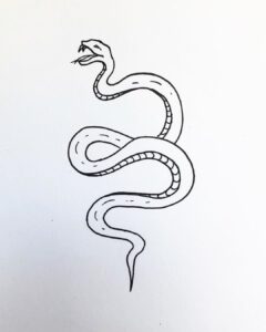 Snake drawing