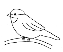 something to draw