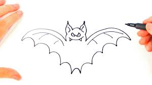things for beginners to draw