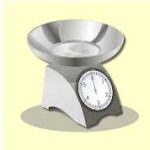 Precision digital scale