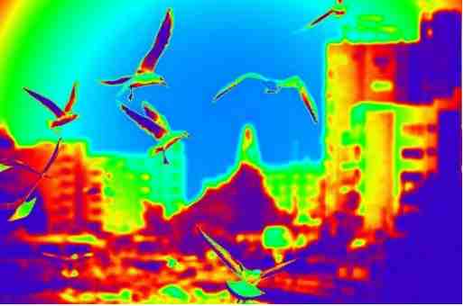 infrared camera iphone app