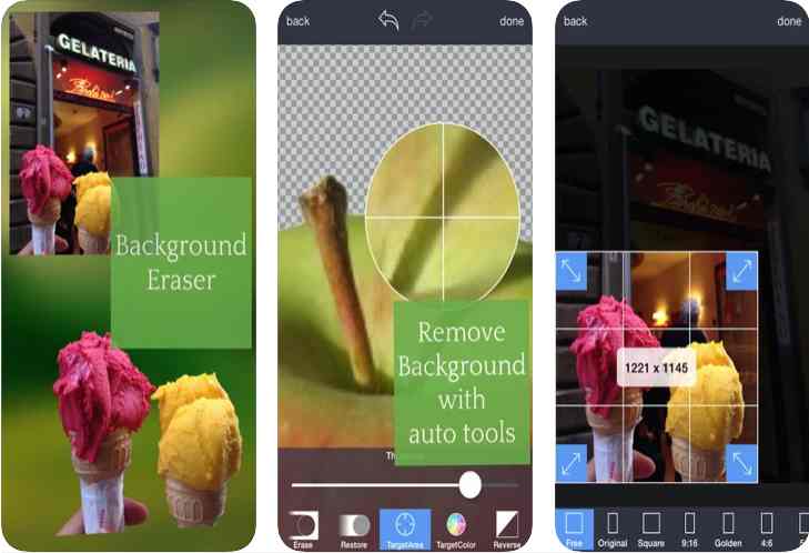 pic cutter and paste