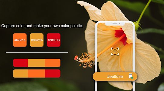 Color Detector