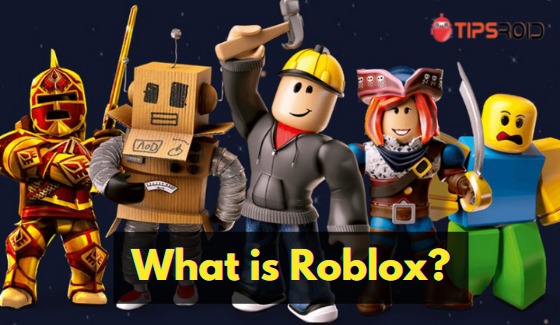 Roblox Decal IDs
