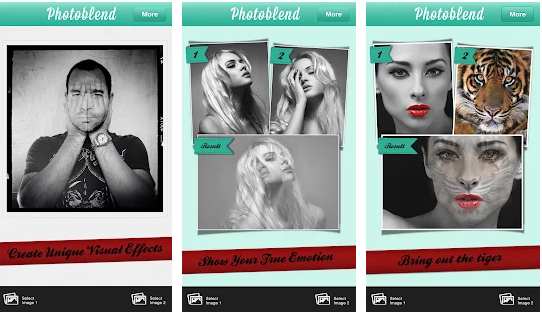 blend picture app