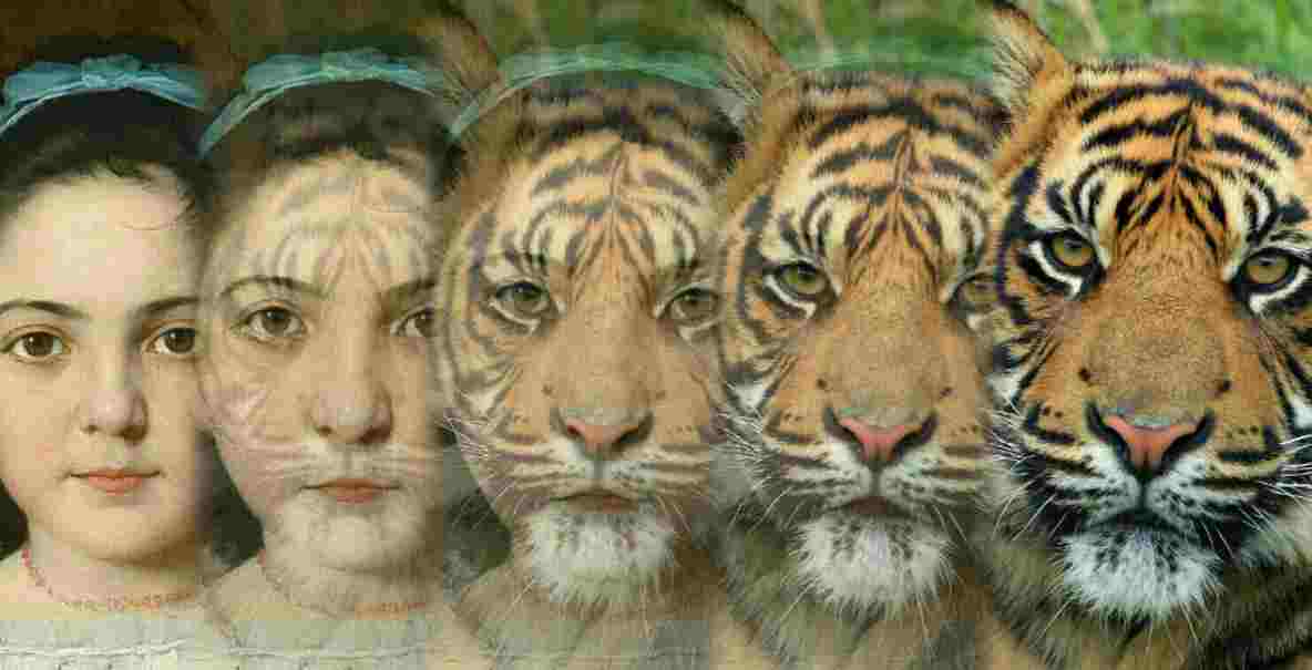 apps to morph faces