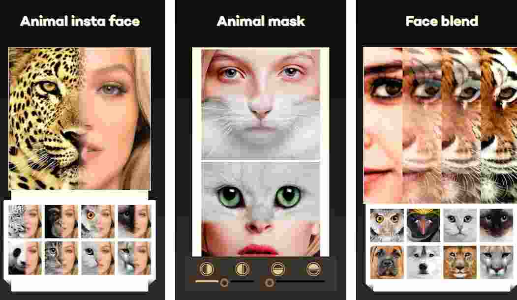 morph a picture into another