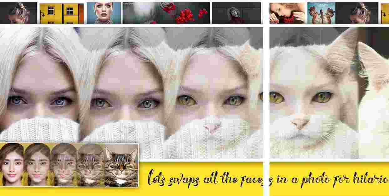 morph apps