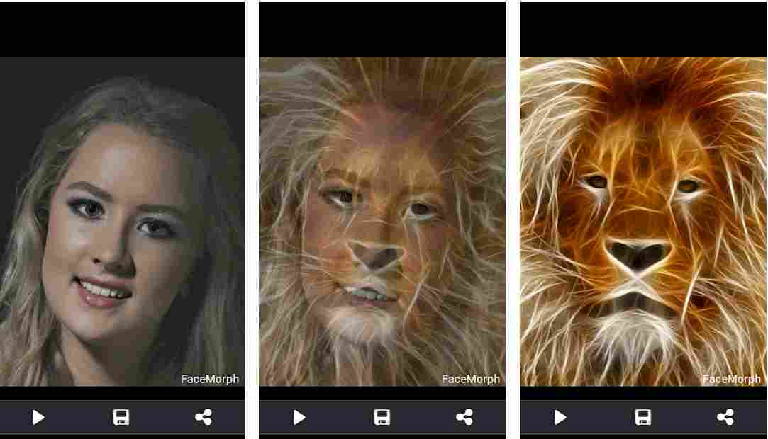 morph pictures