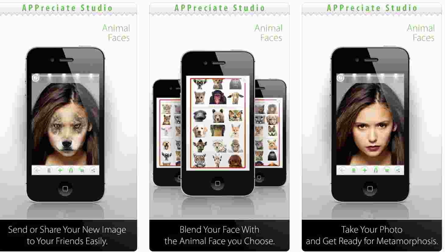 photo morphing app