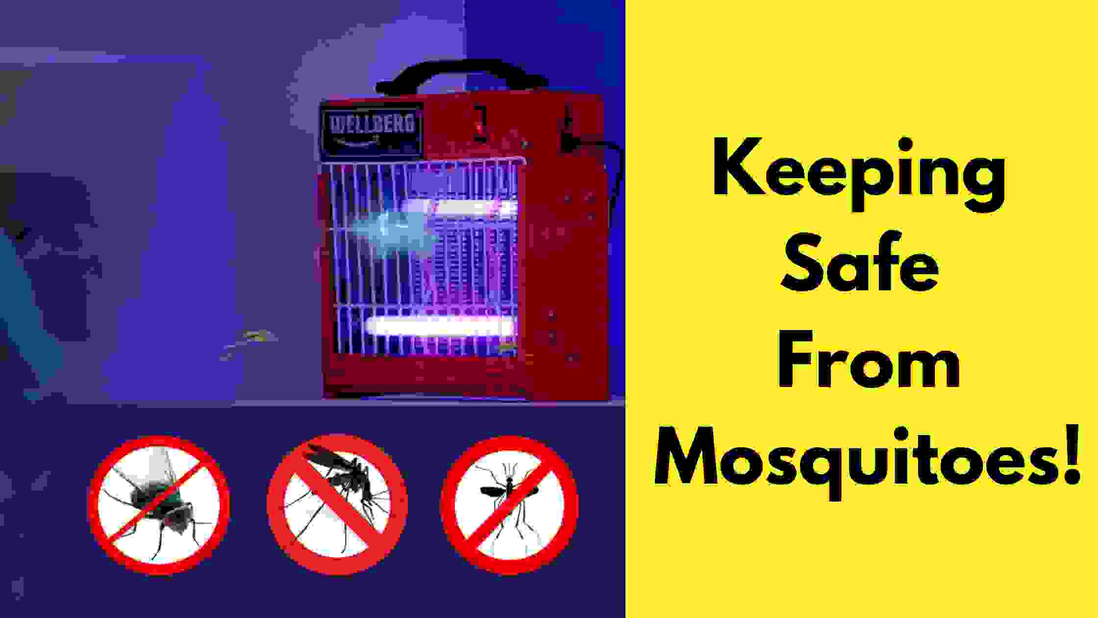 Keeping Safe From Mosquitoes!