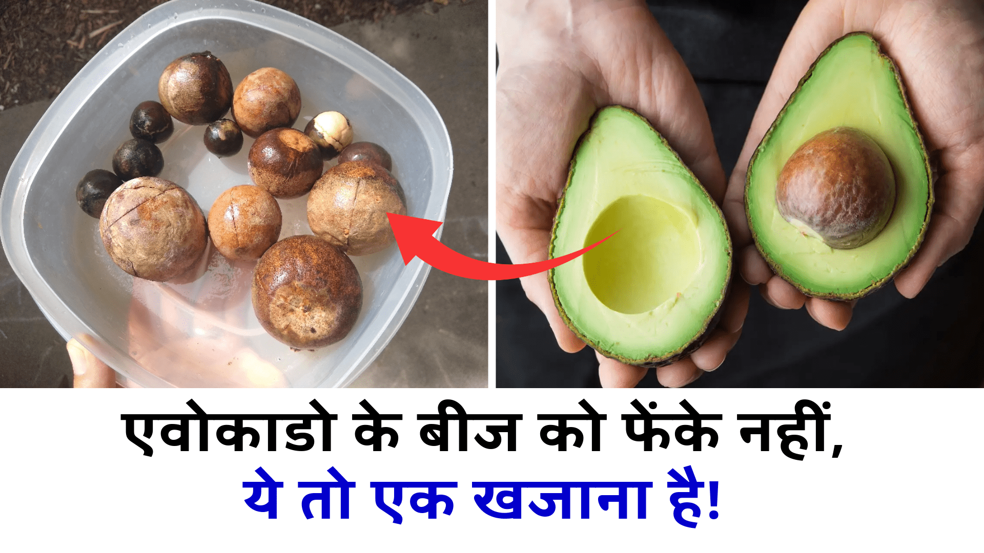 एवोकाडो के बीजों में छिपा है जादुई कमाल! इसे फेंके नहीं