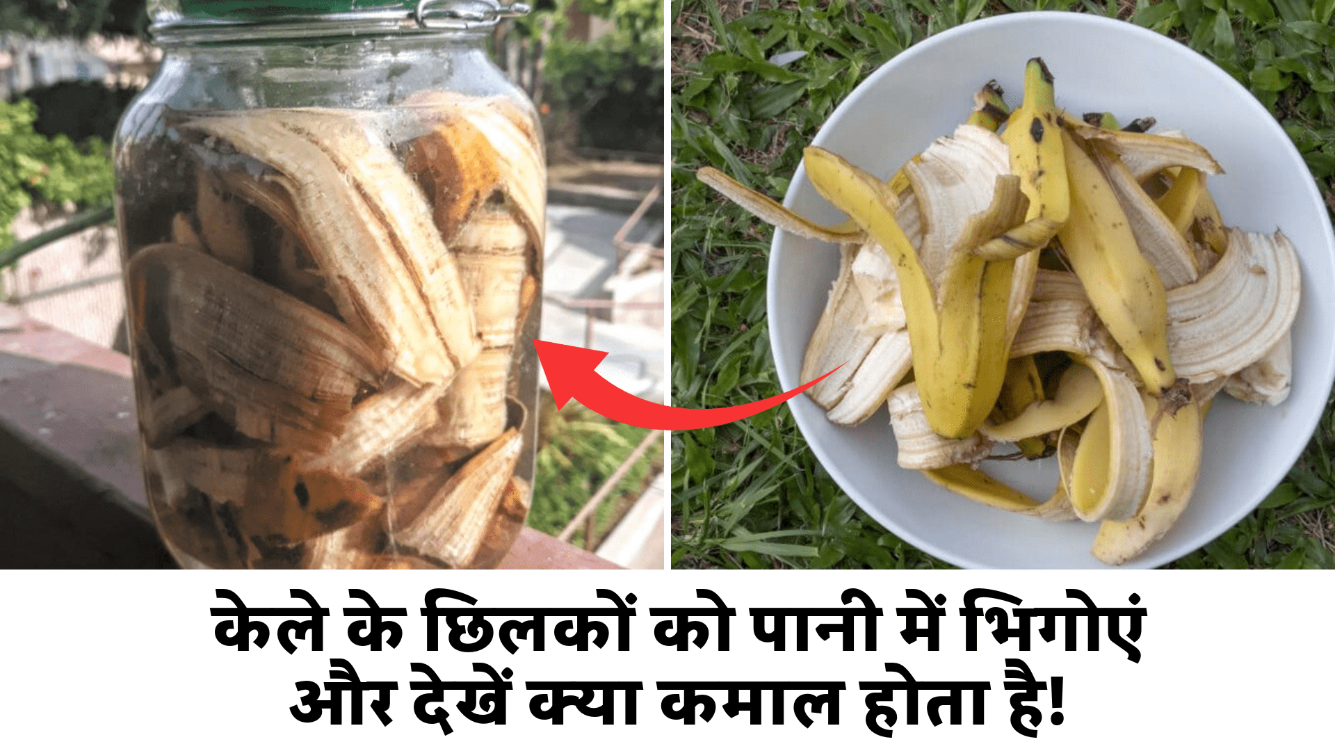 केले के छिलकों को पानी में भिगोएं और देखें क्या कमाल होता है!